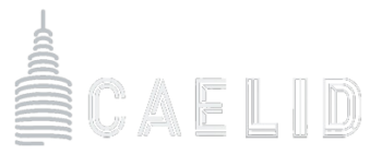 Logo Caleid x3